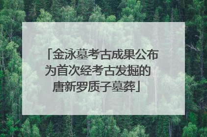 金泳墓考古成果公布 为首次经考古发掘的唐新罗质子墓葬