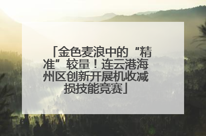 金色麦浪中的“精准”较量！连云港海州区创新开展机收减损技能竞赛