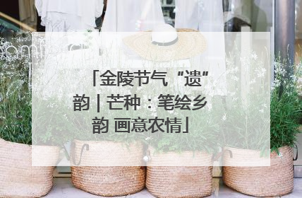 金陵节气“遗”韵｜芒种：笔绘乡韵 画意农情