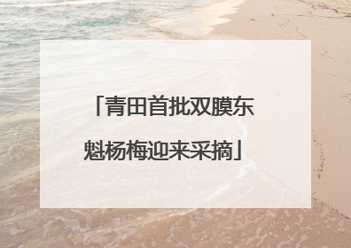青田首批双膜东魁杨梅迎来采摘