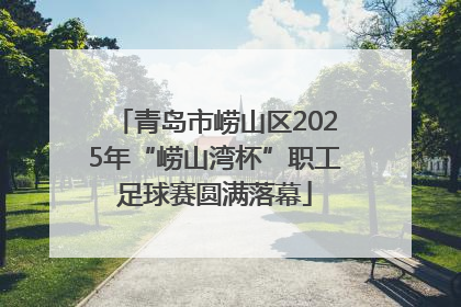 青岛市崂山区2025年“崂山湾杯”职工足球赛圆满落幕