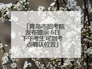 青岛市招考院发布提示 6日下午考生可到考点确认位置