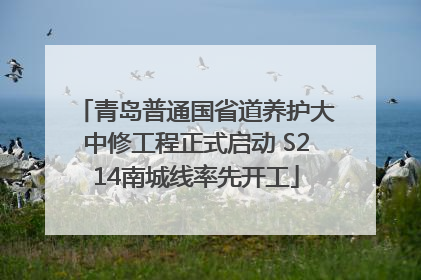 青岛普通国省道养护大中修工程正式启动 S214南城线率先开工