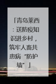 青岛莱西：送防疫知识进乡村，筑牢人畜共患病“防护墙”