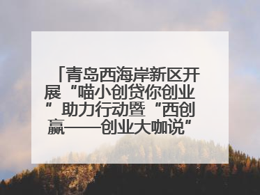 青岛西海岸新区开展“喵小创贷你创业”助力行动暨“西创赢——创业大咖说”主题活动