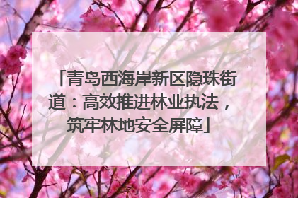 青岛西海岸新区隐珠街道：高效推进林业执法，筑牢林地安全屏障
