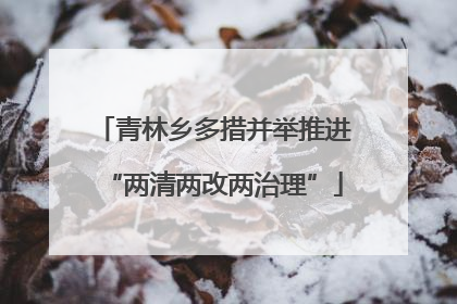 青林乡多措并举推进“两清两改两治理”