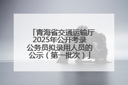青海省交通运输厅2025年公开考录公务员拟录用人员的公示（第一批次）
