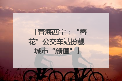 青海西宁：“簪花”公交车站扮靓城市“颜值”