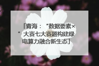 青海：“数据要素×”大赛七大赛题构建绿电算力融合新生态