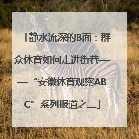静水流深的B面：群众体育如何走进街巷——“安徽体育观察ABC”系列报道之二