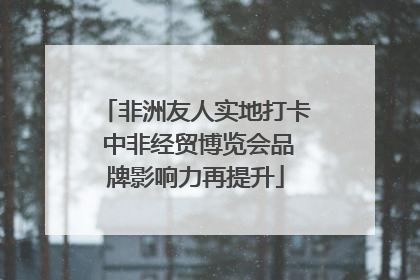 非洲友人实地打卡 中非经贸博览会品牌影响力再提升