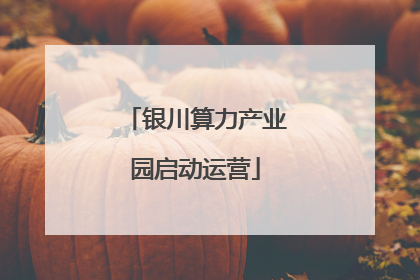 银川算力产业园启动运营