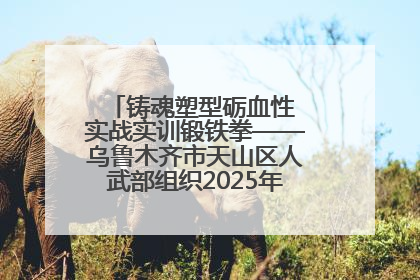 铸魂塑型砺血性 实战实训锻铁拳——乌鲁木齐市天山区人武部组织2025年度民兵集中轮训