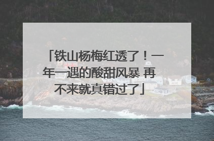 铁山杨梅红透了！一年一遇的酸甜风暴 再不来就真错过了