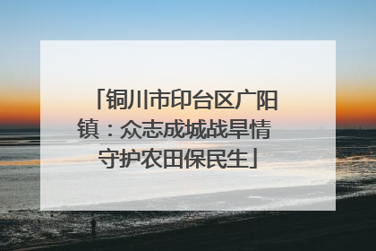 铜川市印台区广阳镇：众志成城战旱情 守护农田保民生