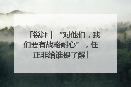 锐评｜“对他们，我们要有战略耐心”，任正非给谁提了醒