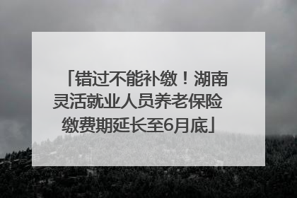 错过不能补缴！湖南灵活就业人员养老保险缴费期延长至6月底