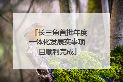 长三角首批年度一体化发展实事项目顺利完成