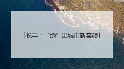 长丰：“绣”出城市新容颜