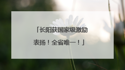 长阳获国家级激励表扬！全省唯一！