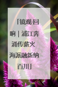镜观·回响｜浦江奔涌传薪火 海派融新纳百川