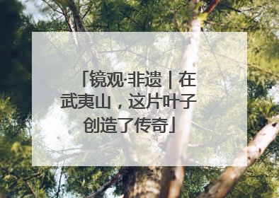 镜观·非遗｜在武夷山，这片叶子创造了传奇