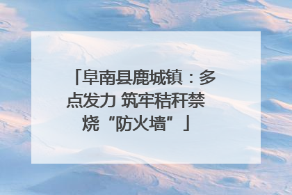 阜南县鹿城镇：多点发力 筑牢秸秆禁烧“防火墙”