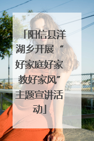阳信县洋湖乡开展“好家庭好家教好家风”主题宣讲活动