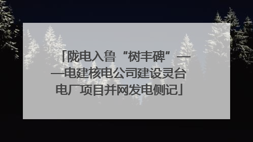 陇电入鲁“树丰碑”——电建核电公司建设灵台电厂项目并网发电侧记