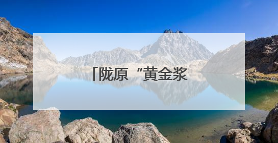 陇原“黄金浆果”香飘海外