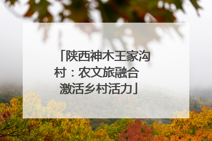 陕西神木王家沟村：农文旅融合 激活乡村活力