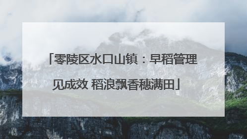 零陵区水口山镇：早稻管理见成效 稻浪飘香穗满田
