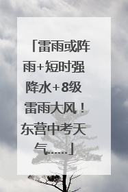 雷雨或阵雨+短时强降水+8级雷雨大风！东营中考天气……