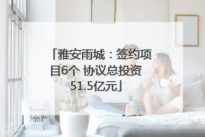 雅安雨城：签约项目6个 协议总投资51.5亿元