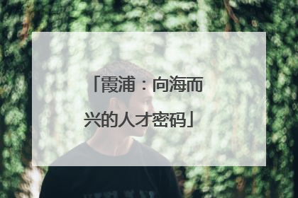 霞浦：向海而兴的人才密码