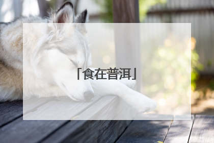 食在普洱