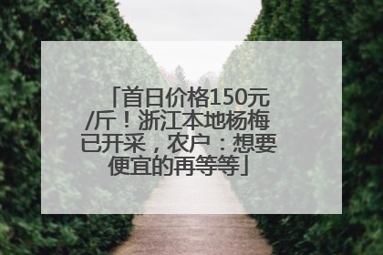 首日价格150元/斤！浙江本地杨梅已开采，农户：想要便宜的再等等
