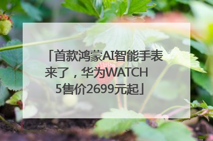 首款鸿蒙AI智能手表来了，华为WATCH 5售价2699元起