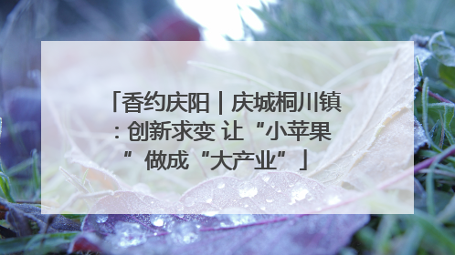 香约庆阳｜庆城桐川镇：创新求变 让“小苹果”做成“大产业”