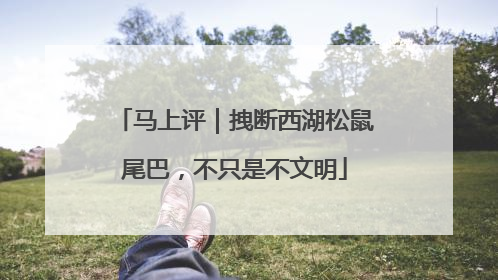 马上评｜拽断西湖松鼠尾巴，不只是不文明