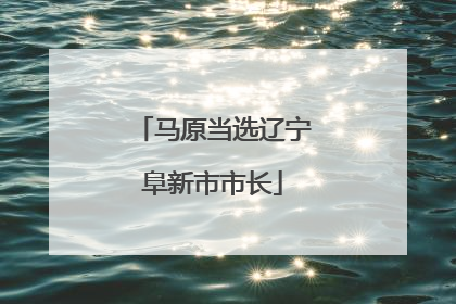 马原当选辽宁阜新市市长