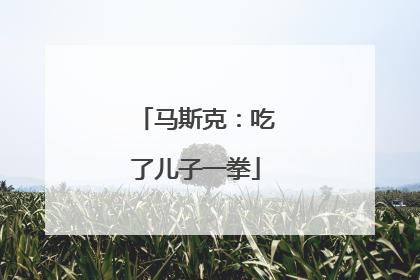 马斯克：吃了儿子一拳