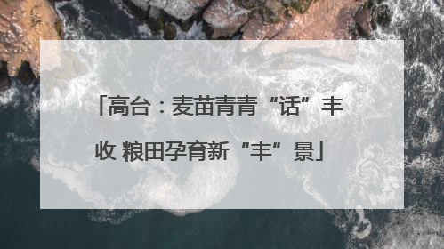 高台：麦苗青青“话”丰收 粮田孕育新“丰”景