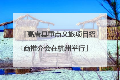高唐县重点文旅项目招商推介会在杭州举行