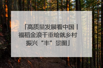 高质量发展看中国丨福稻金浪千重绘就乡村振兴“丰”景图