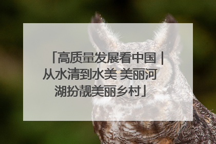高质量发展看中国｜从水清到水美 美丽河湖扮靓美丽乡村