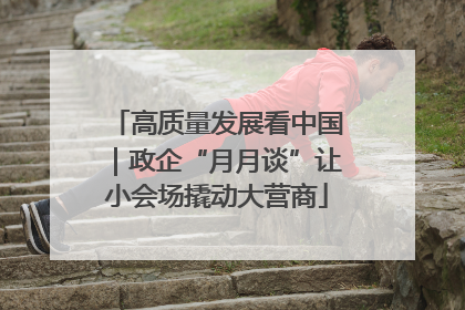 高质量发展看中国｜政企“月月谈”让小会场撬动大营商