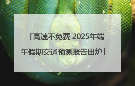高速不免费 2025年端午假期交通预测报告出炉