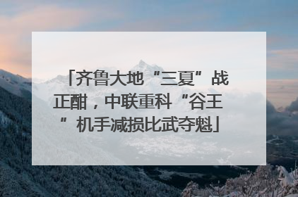 齐鲁大地“三夏”战正酣，中联重科“谷王”机手减损比武夺魁